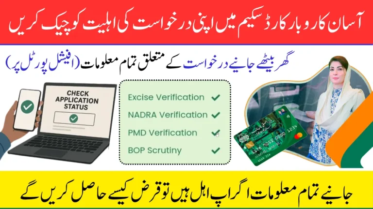 Complete Guide to Check Asaan Karobar Card Application Status & Resolve Issues