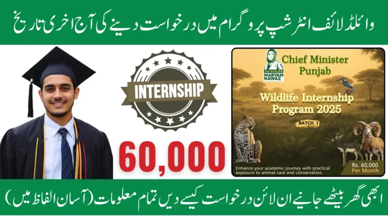 Last Day to Apply in CM Punjab Wildlife Internship Program 2025 to Get Internship